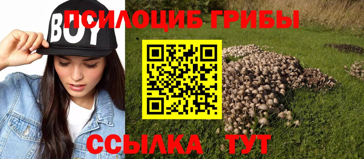 Псилоцибиновые грибы GOLDEN TEACHER Батайск